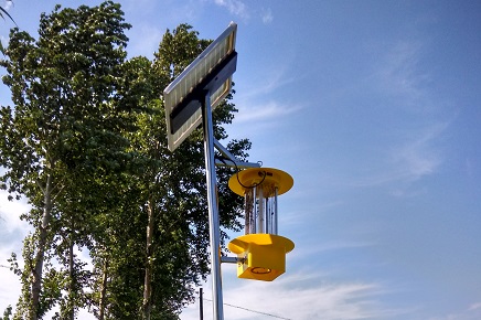 殺蟲燈廠家:園林養護為城市守護綠色