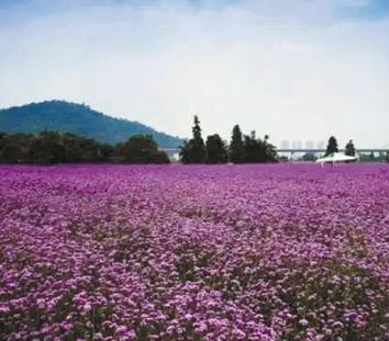 “互聯網＋農地流轉”平臺提供服務包括五個環節