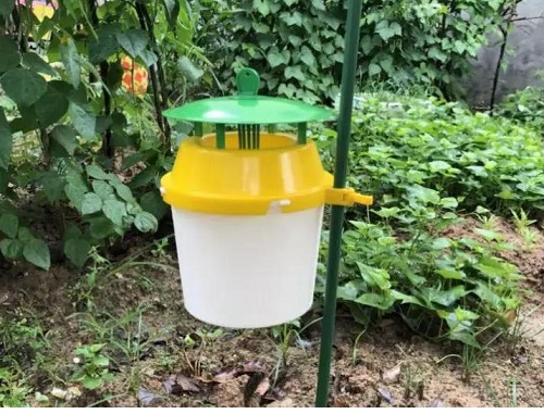 草地貪夜蛾誘捕器