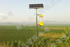 太陽(yáng)能殺蟲(chóng)燈有助于建設(shè)綠色花生品牌