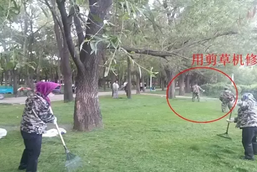 園林處噴農藥 避免蟲子往下掉