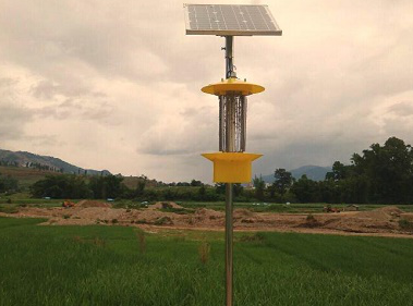 太陽(yáng)能殺蟲(chóng)燈在現(xiàn)代農(nóng)業(yè)病蟲(chóng)害防治的應(yīng)用