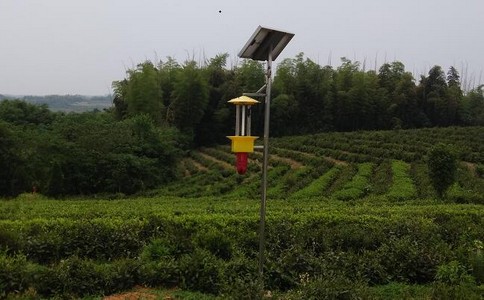 “滴管式”扶貧在山東開花