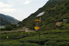 云飛自清蟲(chóng)太陽(yáng)能殺蟲(chóng)燈為五峰茶出口歐盟提供