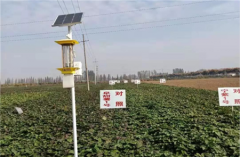 云飛太陽(yáng)能殺蟲(chóng)燈入駐安徽大學(xué)試驗(yàn)田！