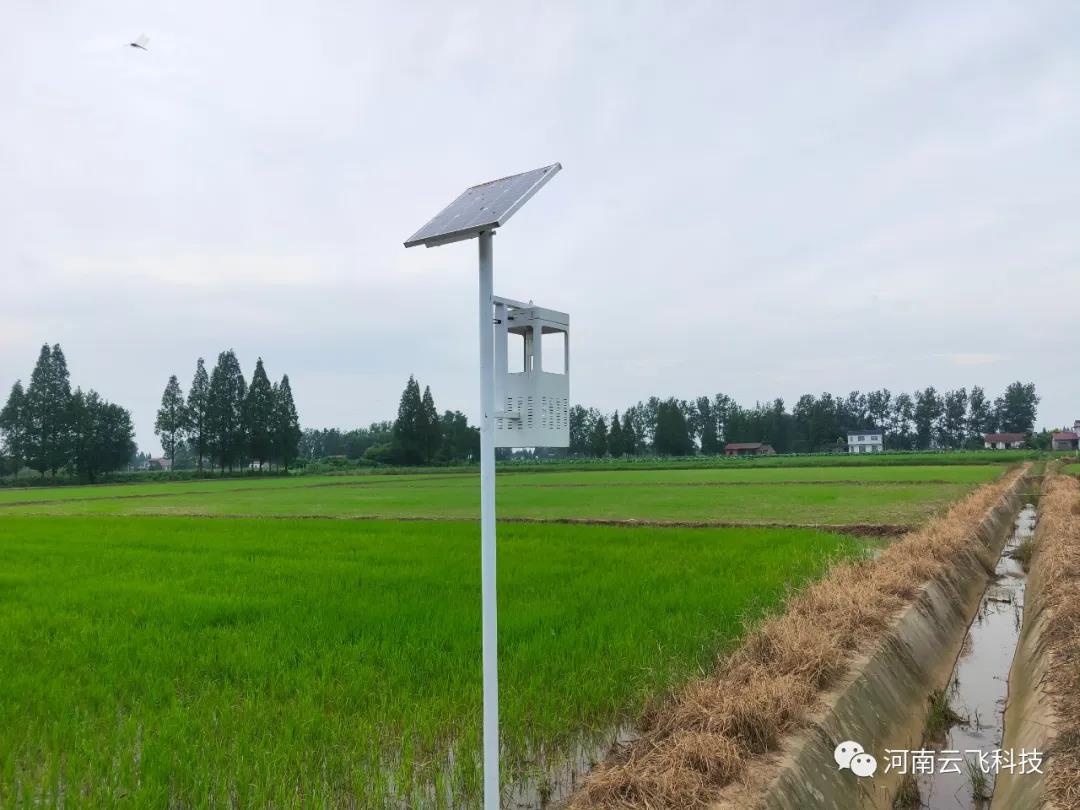 風吸式太陽能殺蟲燈